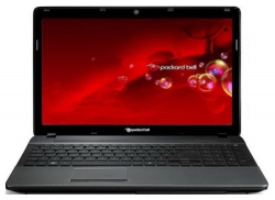 Packard Bell EasyNote F 4211 513