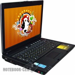 RoverBook Y420 