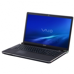 Sony VAIO VGN-AW270Y 