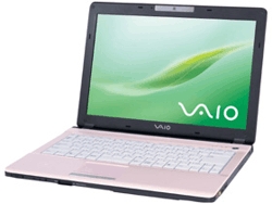 Sony VAIO VGN-FJ180P/L 