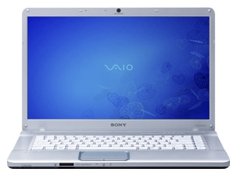 Sony VAIO VGN-NW350F 