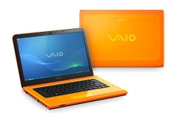 Sony VAIO VPC-CA1S1R/D