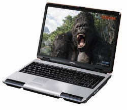 Toshiba Satellite P100-222